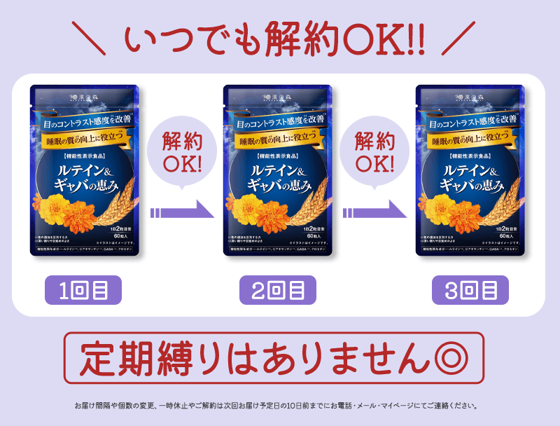 定期縛りなしだから安心