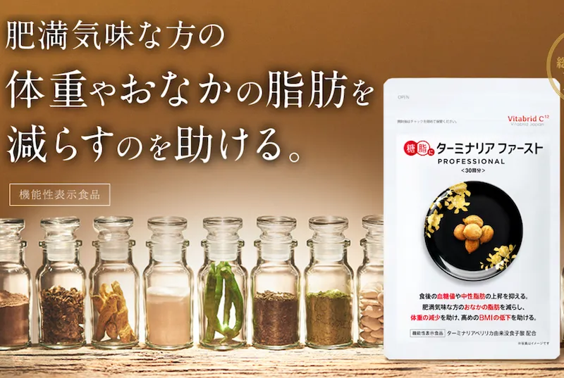 ターミナリアファースト